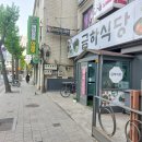 24-4/19-금 금하식당-아침밥 이화여대-철쭉꽃 이화여대-ECC 김영덕/김철구-광명프로당구장 광명은행나무갈매기-김영성 비클-맥주 이미지