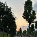 그린휘트니스 이미지