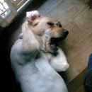 목화당구장 이미지