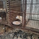 유선농장 이미지