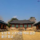 원도심 은행나무 | 울산 중구 역사 공간 울산 향교에서 만난 고즈넉한 시간