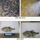 제주수산 이미지