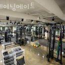 트레이닝 메이트 | 잠실동헬스 트레이닝메이트 시설 리뷰