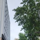 이태원역 2번 출구 Daum카페