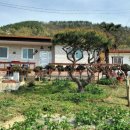 꿈꾸는 민박 이미지