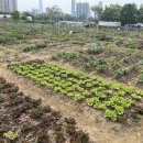 구정농장 이미지