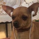 피트니스플레져 이미지