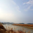 세상사이로 Daum카페
