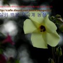 백봉농장 이미지