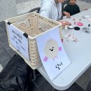 들래미 종합유통 | 광주 어린이날 행사 무료체험 가능한 광주국립박물관 도자축제