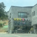 [용인/신점] 처인구 신천궁 점사 후기