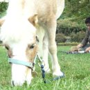 대근농장 이미지