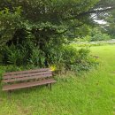 (주)에코클린제주 | 제주도/에코랜드호텔 대만족후기-수국, 인피니트풀, 조식