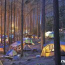 배알도수변공원(1-캠핑장) 이미지