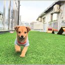 아이조아요양보호소 대구점 이미지