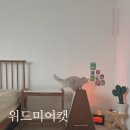 몽땅 펫샾 네이버블로그