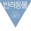 동충하초앤