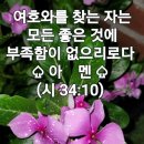 달리다굼