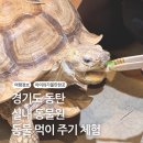 하이오커피동탄북 | 동물 좋아하는 어린이 추천! 경기도 동탄 아이랑 가볼만한 곳 실내 동물원 후기