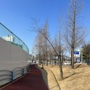 와항 주차장 화장실 | 천안 앙즈로산전마사지 후기