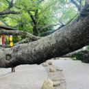 (유)푸른건설 이미지