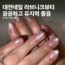 서대전어린이집 | 라브니크뷰티 유지력 좋은 대전괴정동네일샵