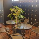 몬스터 피트니스센터 이미지