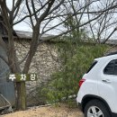 잠홍저수지 주차장 | 충남 서산 봄 나들이 여행 유기방가옥 잠홍저수지 근처 촌식당 맛집 안녕호선생 카페 후기