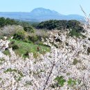 신흥2리(동백마을)농촌체험휴양마을 이미지