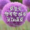 24년8월17~18일 토 일요일 출석부 이미지