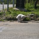 육십령식당 이미지