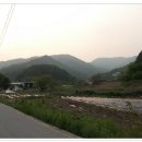 지교대호 이미지