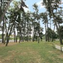 백일야영장 이미지