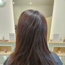 (주)세인트솔루션 | 교하미용실 손상모복구 살롱드온세 나노힐재싱크리닉 │특허 기술력 + 인&amp;아웃 빌드업│