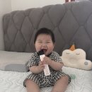 엄마옷 | [코코하니] 엄마도 아이도 대만족 코코하니 여름 옷 후기