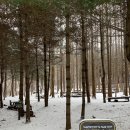 숨길+ 쉼길+ 순례길 이미지