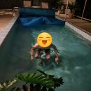 휴라채