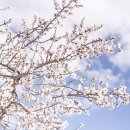 오태초등 병설 이미지