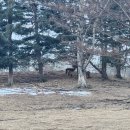 태백장성게스트하우스 이미지