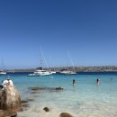 행복한 동행(Happy Tour) | 팔라우 보트투어 palau boat tour 방법 및 olbia 시내 맛집 Piperita Patty후기(feat.젤라또 맛집리스트)