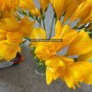 드립 온 | 드립커피 마시고 싶은 날 꺼내는 일본 키커피 드립온 솔직 후기