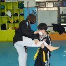 용인대 유성 합기도 이미지