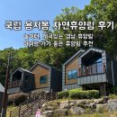 숲속나라유치원 | 김해 용지봉 자연휴양림 숲속의 집 1호 후기 아이랑 가기 좋은 경남 휴양림 추천 숲해설 목공예 프로그램