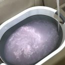 데이즈몽 애견미용샵 이미지