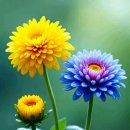 사랑과 기쁨 이미지