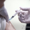준수시 이미지