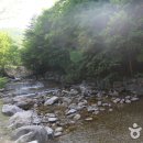 도사곡휴양림 이미지