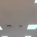 EY오리엔탈 댄스 페스티발 이미지