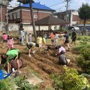 강남경로당 이미지