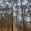 왕배푸른숲도서관 1층 이미지